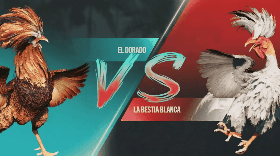 ax7 Plataforma App Esports